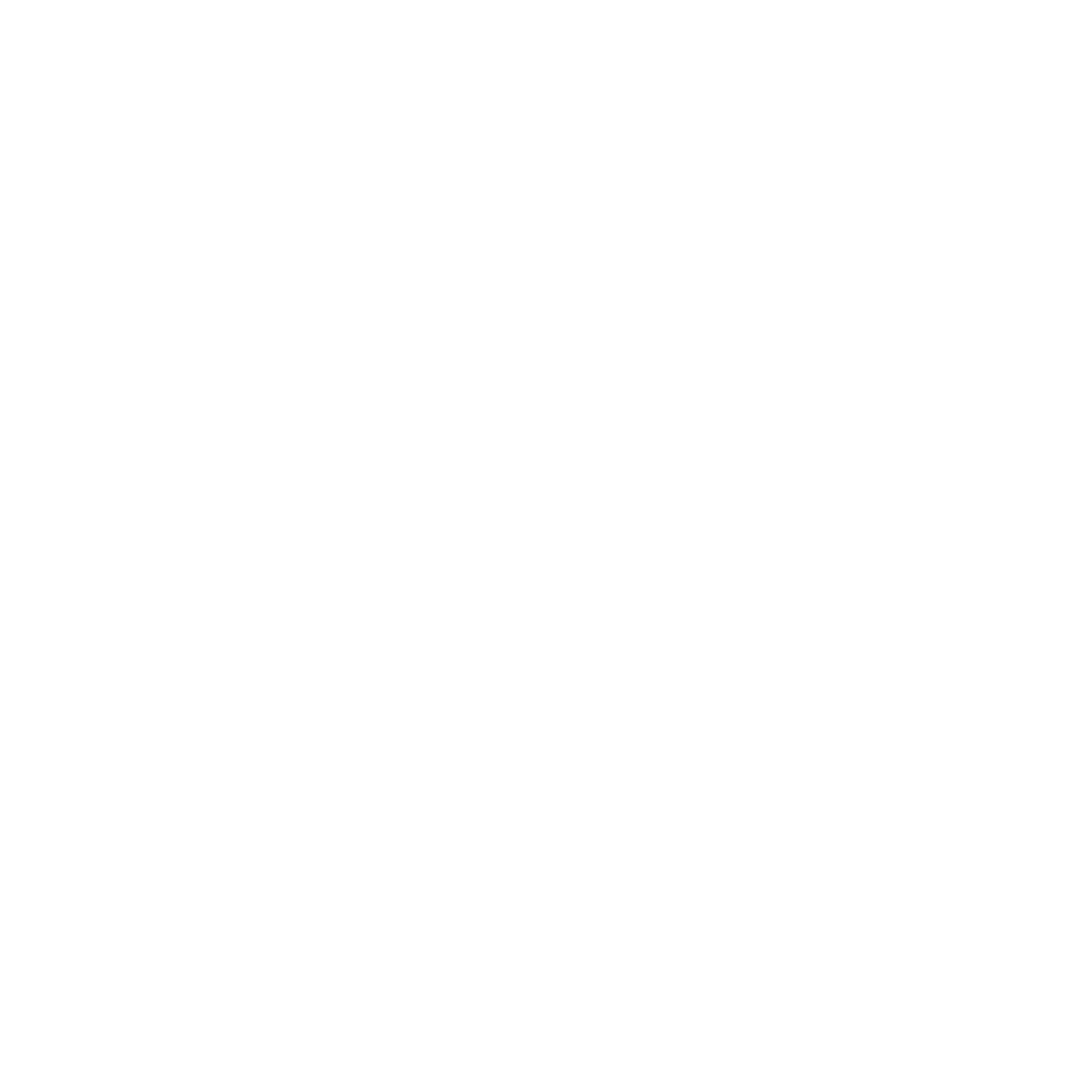 Flow Logo white