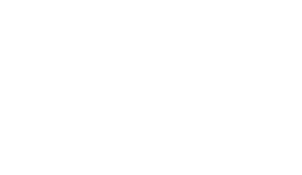 Flow logo 86