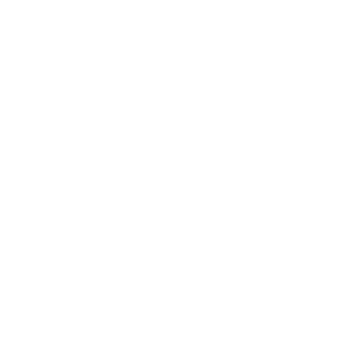 Flow logo2